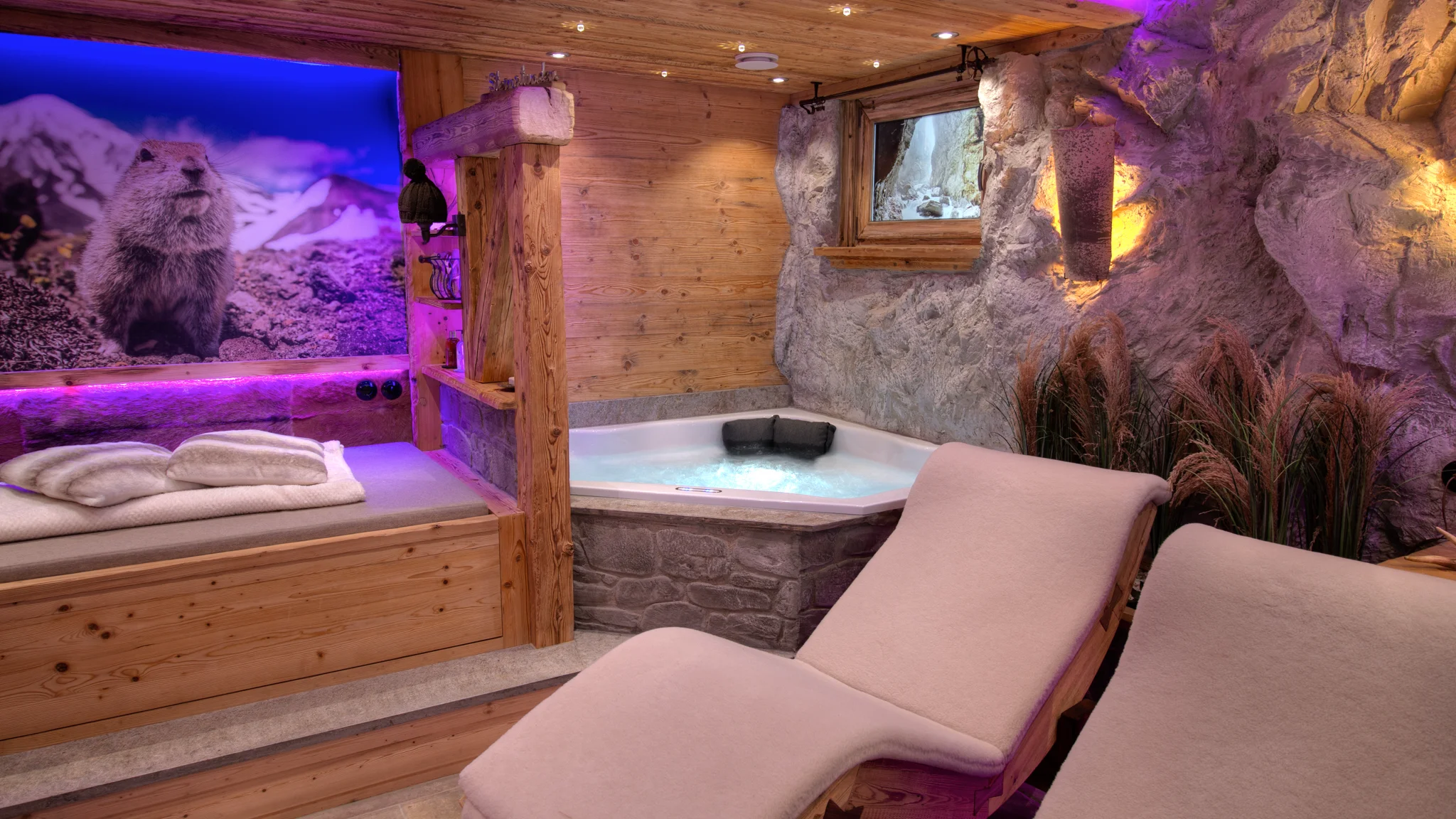 Wellness Almsytle